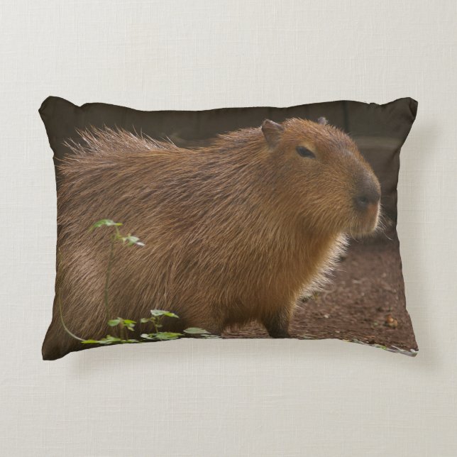 Capybara Accent Kussen (Voorkant)