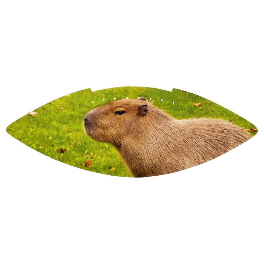 Capybara American Football (Paneel)
