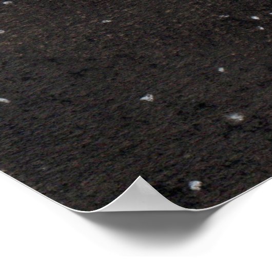 Capybara and terrapin flying through space poster (Hoek)