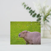 Capybara Ansichtkaart Briefkaart (Staand voorkant)