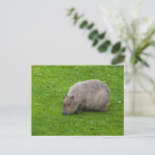 Capybara Ansichtkaart Briefkaart (Staand voorkant)