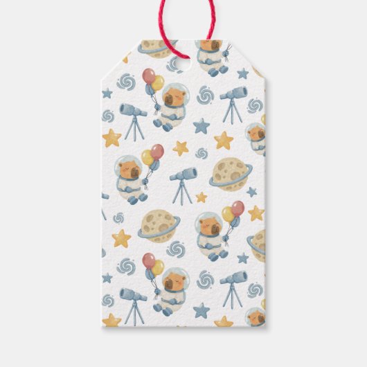 Capybara Astronaut Patroon Gift Labels Cadeaulabel (Voorkant)