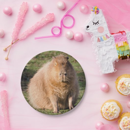 Capybara bord (Feest)