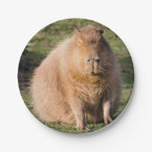 Capybara bord (Voorkant)