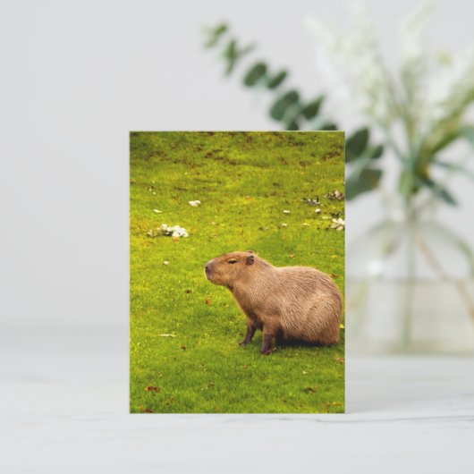 Capybara Briefkaart (Staand voorkant)