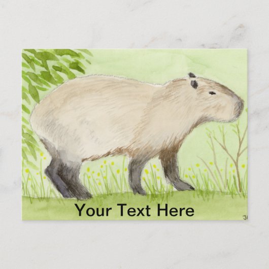 Capybara Briefkaart (Voorkant)