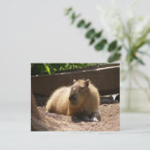 Capybara Briefkaart (Staand voorkant)