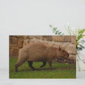 capybara briefpapier (Staand voorkant)