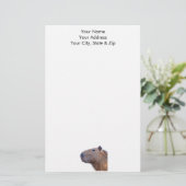Capybara Briefpapier (Staand voorkant)