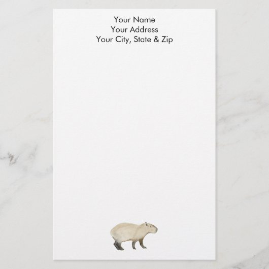 Capybara Briefpapier (Voorkant)