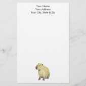 Capybara Briefpapier (Voorkant)