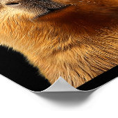 Capybara Bruh With Sungles Funny Meme Lovers Men W Poster (Hoek)