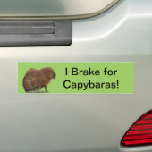 Capybara Bumpersticker (Op auto)