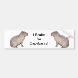 Capybara Bumpersticker