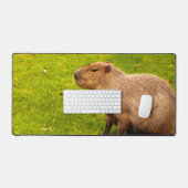 Capybara Bureaumat (Keyboard & Muis)