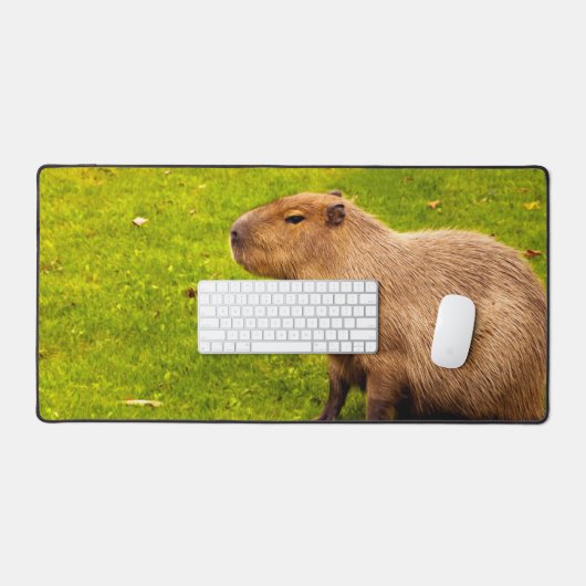 Capybara Bureaumat (Keyboard & Muis)