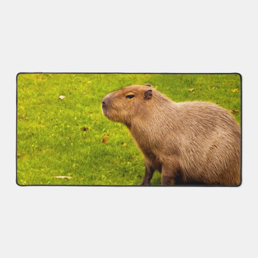 Capybara Bureaumat (Voorkant)