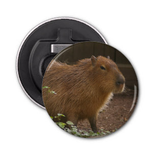 Capybara Button Flesopener