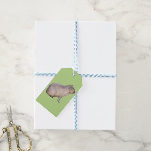 Capybara Cadeaulabel (Met Touw)