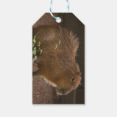 Capybara Cadeaulabel (Voorkant)