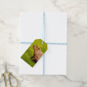 Capybara Cadeaulabel (Met Touw)