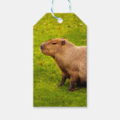 Capybara Cadeaulabel (Voorkant)