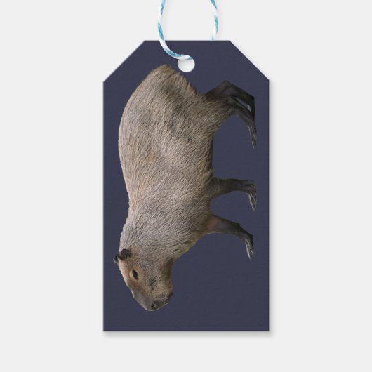 Capybara Cadeaulabel (Voorkant)