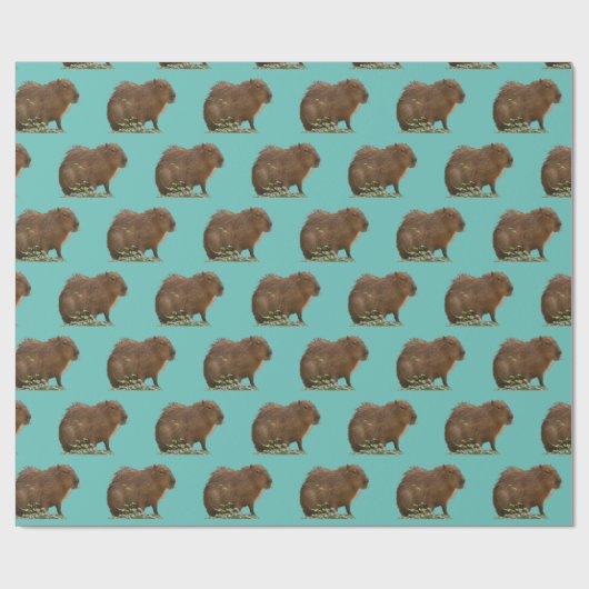 Capybara Cadeaupapier (Vlak)