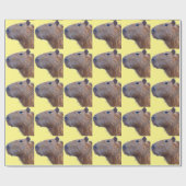 Capybara Cadeaupapier (Vlak)