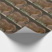 Capybara Cadeaupapier (Hoek)