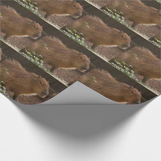 Capybara Cadeaupapier (Hoek)