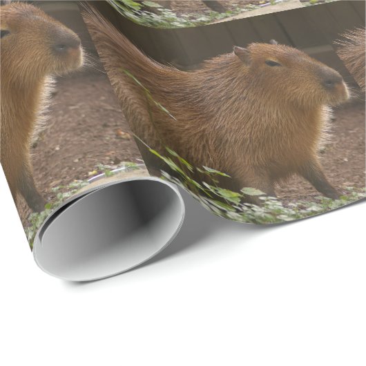 Capybara Cadeaupapier (Rol Hoek)
