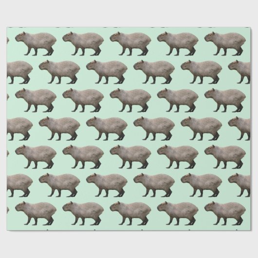 Capybara Cadeaupapier (Vlak)
