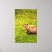 Capybara Canvas Afdruk (Voorkant)
