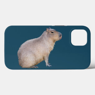 Capybara Case-Mate iPhone Case