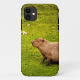 Capybara Case-Mate iPhone Case