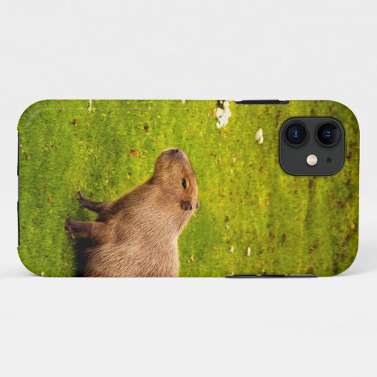 Capybara Case-Mate iPhone Case (Achterkant (horizontaal))