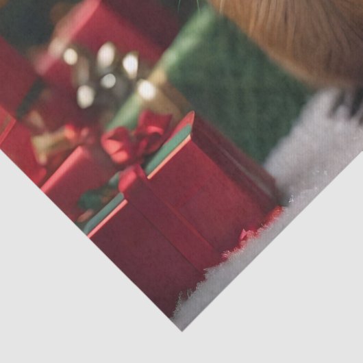 Capybara Claus: Een feestelijk Bokeh Wonderland Tissuepapier (Detail)
