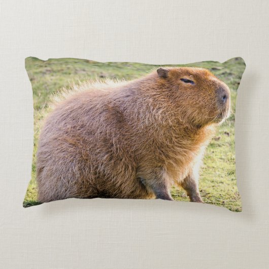 Capybara Cushion Accent Kussen (Achterkant)