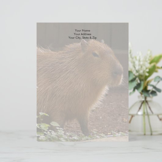 Capybara Custom Briefhoofd (Staand voorkant)