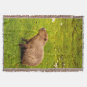 Capybara Deken (Voorkant)