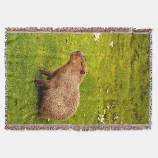 Capybara Deken (Voorkant)