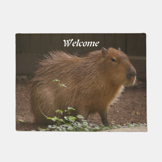 Capybara Deurmat (Voorkant)