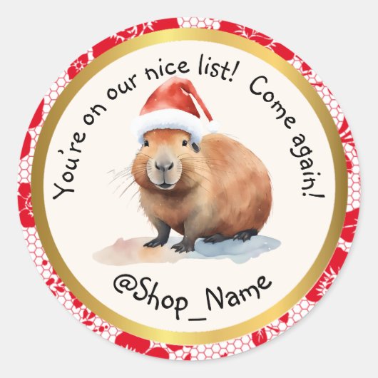 CAPYBARA: Elevate Your Packaging Game! 🚀 Ronde Sticker (Voorkant)