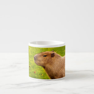 Capybara Espresso Kop