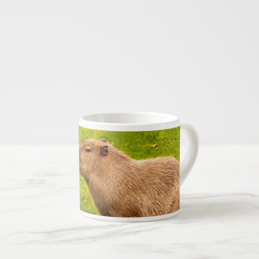 Capybara Espresso Kop (Voorkant rechts)