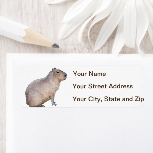 Capybara Etiket (Insitu)