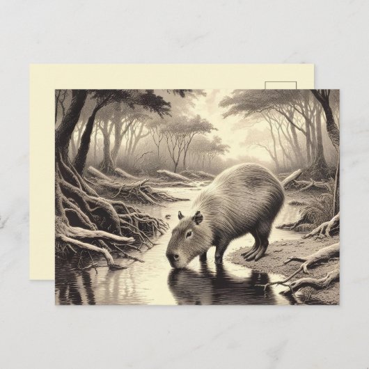 Capybara Etsen Briefkaart (Voorkant / Achterkant)