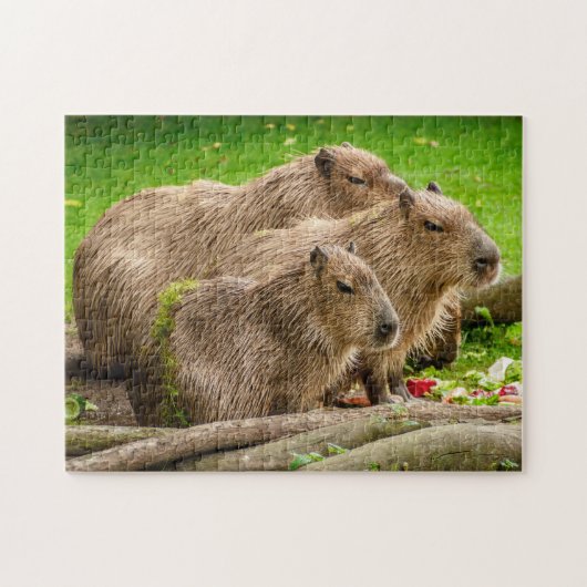 Capybara Family Legpuzzel (Horizontaal)