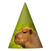 Capybara Feesthoedjes (Voorkant)